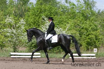 IMG_0857
