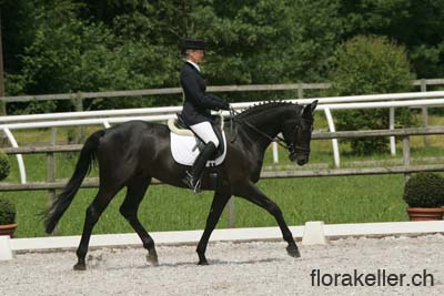 NT5B4100