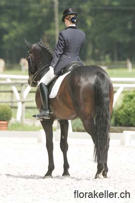 NT5B5508