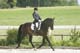 NT5B5507