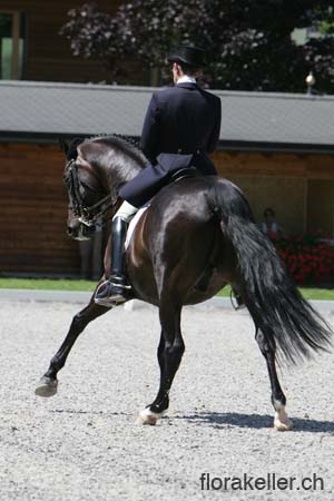 NT5B9507