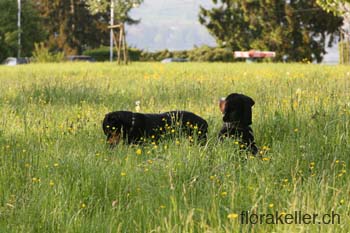 IMG_0304