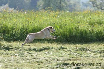 IMG_0336